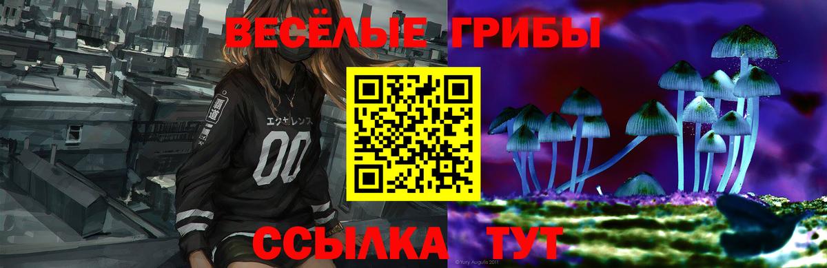 купить наркотики сайты  Псилоцибиновые грибы прущие грибы  Галлюциногенные грибы Psilocybe  Вход с VPN  Топки 